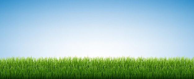 Green Grass Isolated Blue Sky Background With Gradient Mesh, 