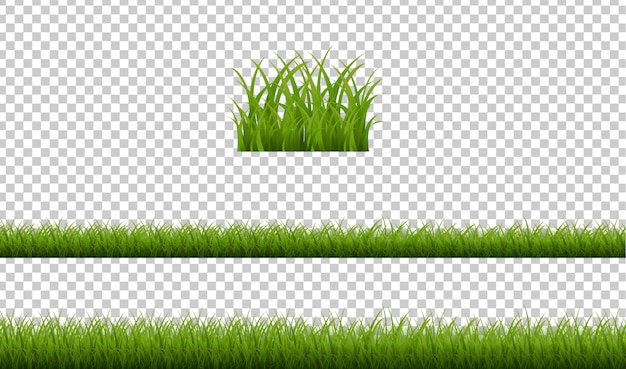 Green Grass Isolated Transparent Background