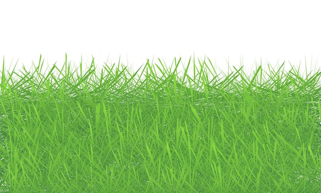 Green grass isolated on white background 3D illustration Green grass