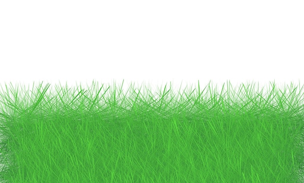 Vector green grass isolated on white background vector illustration eps 10