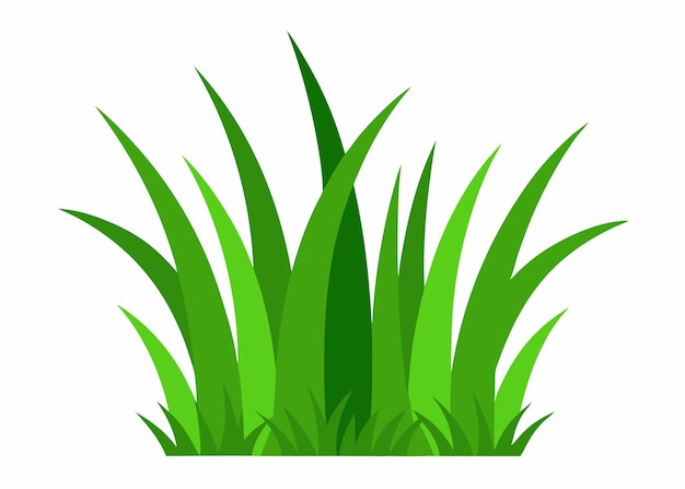 Vector green grass vector art on white background