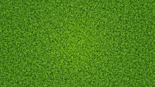 Vector green grass vector texture fresh lawn summer grass background