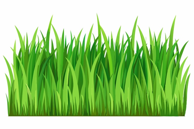 Vector a green grass with a white background with a white background