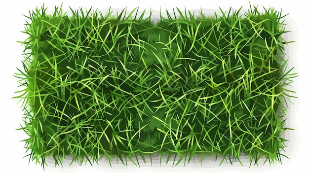 Vector a green grass with a white background