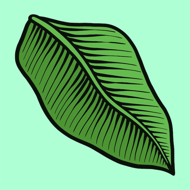 Green Hand Drawing Tropical Leaf Illustration