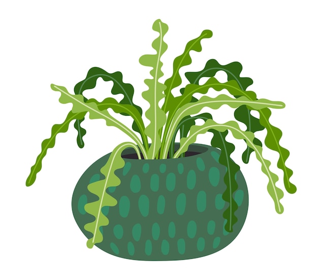 Green houseplant icon Indoor fern plant in pot