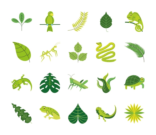 Green leaf and animals