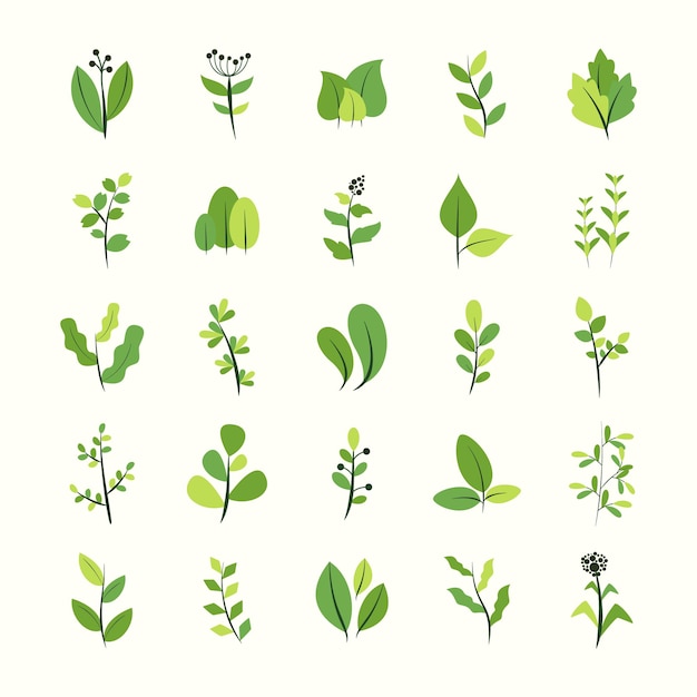 green leaf branching plant isolated vector illustration