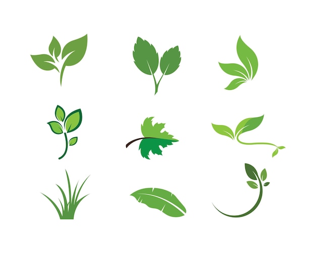 Green leaf ecology nature element vector icon of go green design