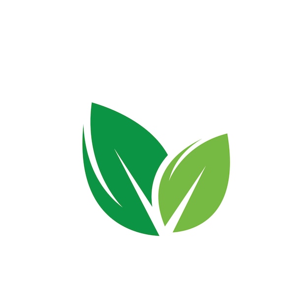 Green leaf element icon of nature concept design template