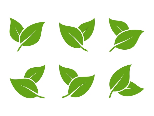 Green leaf icons set Leaves icon on isolated background