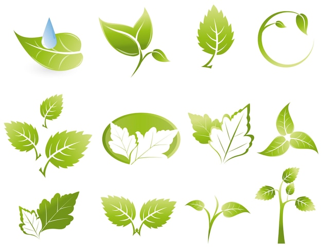 Green leaf icons