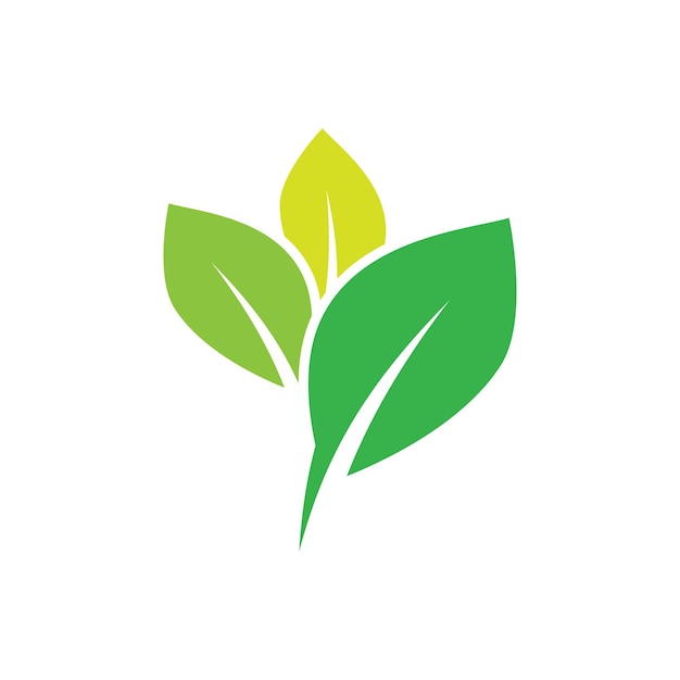 Green leaf illustration nature logo design