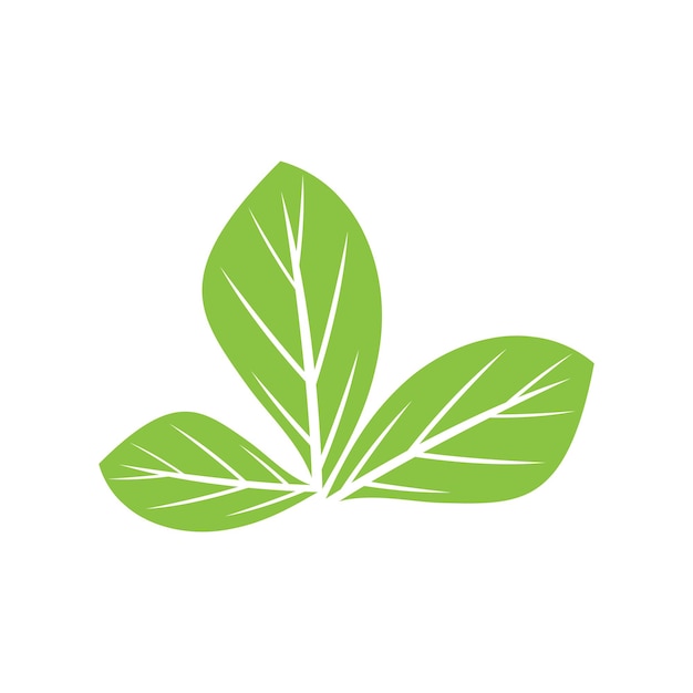 Green leaf illustration nature logo design