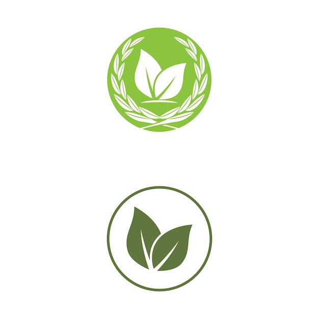 Green leaf illustration nature logo design