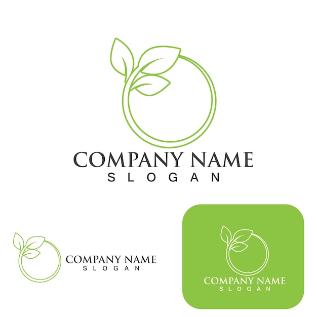 Green leaf nature logo ecology vector image