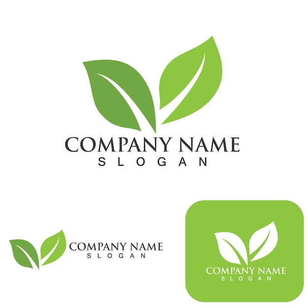 Green leaf nature logo ecology vector image