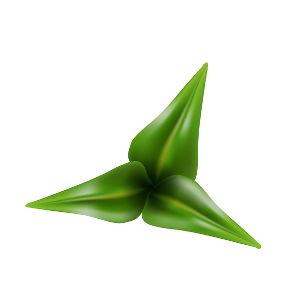 Green leaf realistic vector