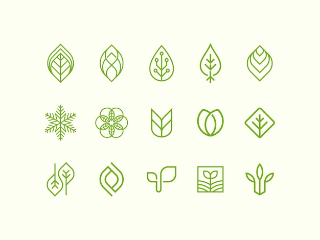 Green Leaf Vector Bundle