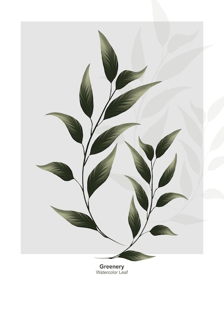 Green leaf watercolor vector design