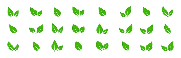 Green leafs vector icon set Leaves foliage icon collection Organic Eco and Vegan concept signs Vector graphic