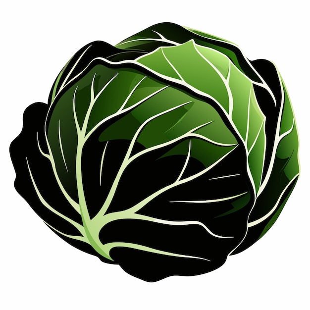 a green leafy vegetable with a green leaf on it vector illustration