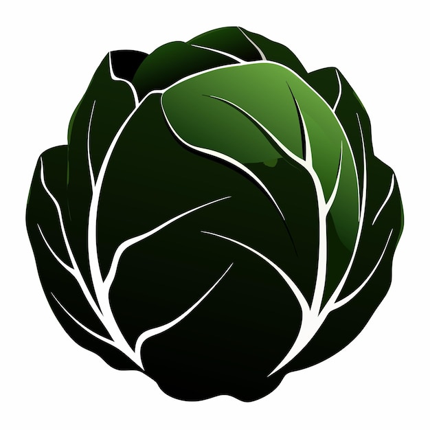 a green leafy vegetable with a green leaf on it vector illustration