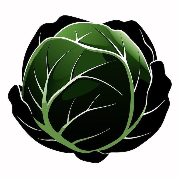 a green leafy vegetable with a green leaf on it vector illustration