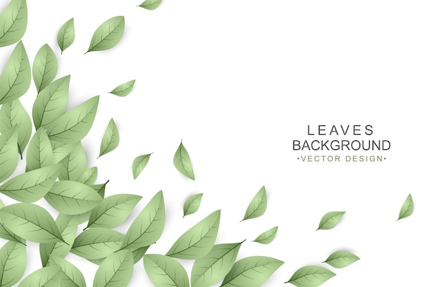 Green leaves background with copy space