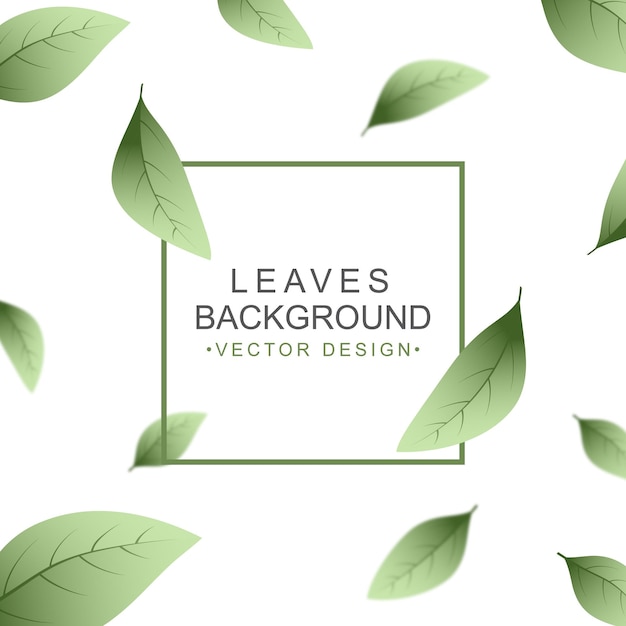 Green leaves background with copy space