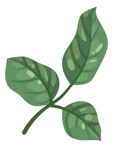 Green leaves Cartoon botany branch Floral element