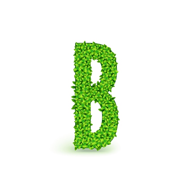 Green Leaves font. Capital letter B consisting of green leaves, vector illustration.