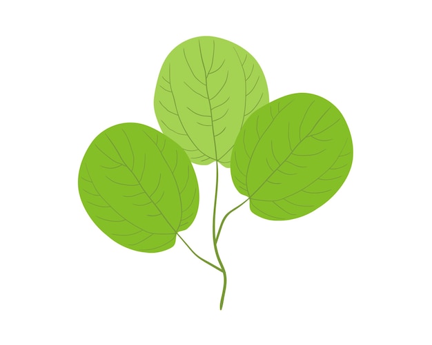 Green leaves isolated on white background Flat design Vector illustration