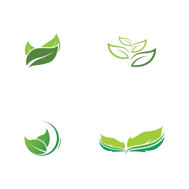 Green leaves logogreen leaf icons set vector template