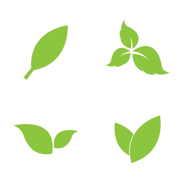 Green leaves logogreen leaf icons set vector template