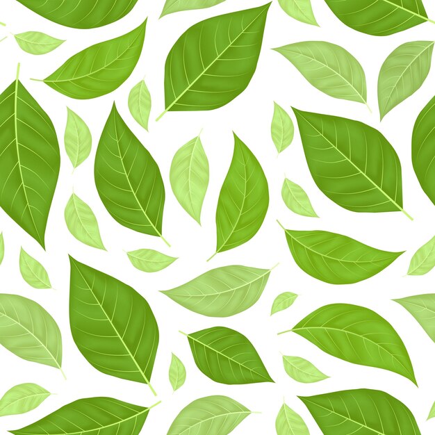 Green Leaves Seamless Pattern Background Vector