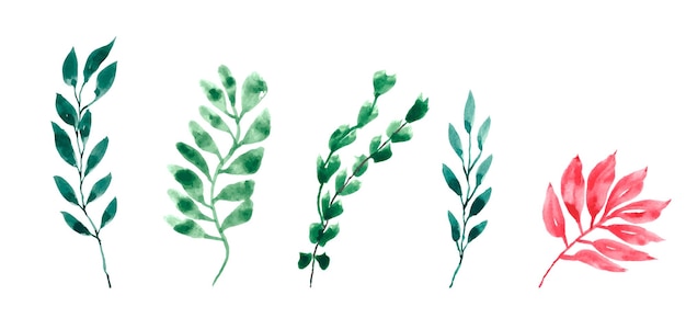 Green leaves vector watercolor set.