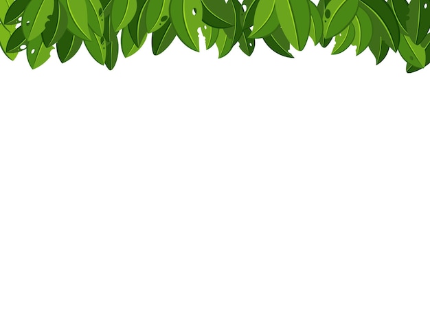 Green leaves on white background Vector illustrations New template design for banner flyer brochure or voucher