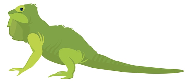 Green lizard Iguana icon Funny reptile animal