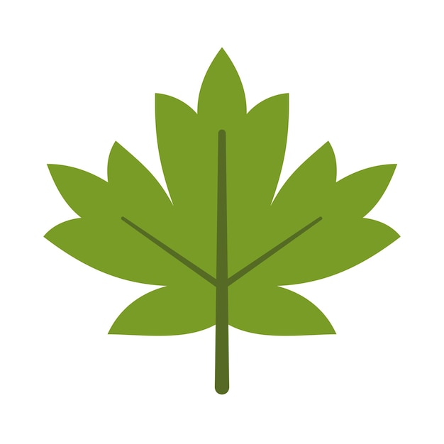 Green Maple Leaf icon isolated on white background