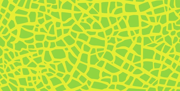 Green melon texture for pattern, vector art