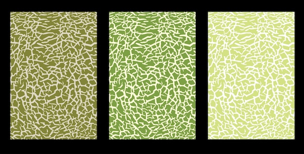 Green melon texture for pattern vector art.