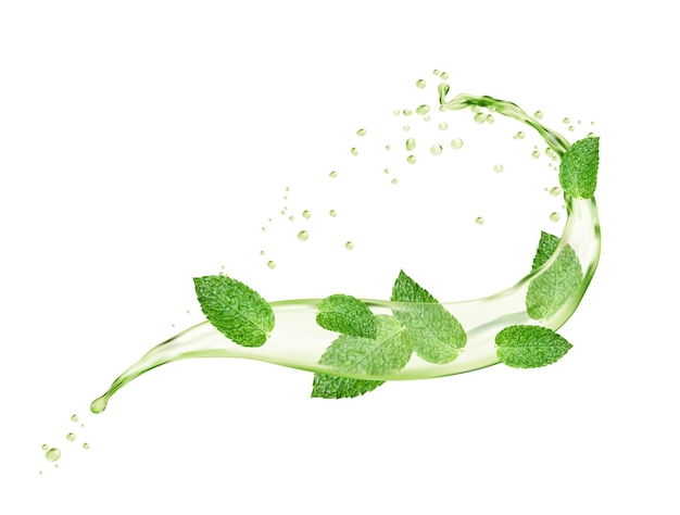 Vector green mint leaves and herbal tea wave round splash