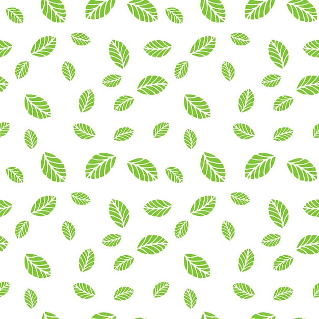 Green mint leaves on white background Vector seamless pattern