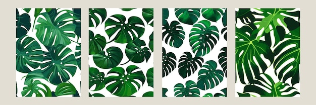 Green monstera as a pattern on a white background exotic pattern with tropical leaves Vector illustration set