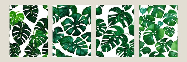 Green monstera as a pattern on a white background exotic pattern with tropical leaves Vector illustration set