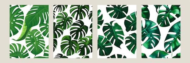 Green monstera as a pattern on a white background exotic pattern with tropical leaves Vector illustration set