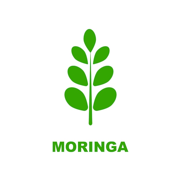 green moringa leaf logo concept design vector illustration icon template with a modern concept