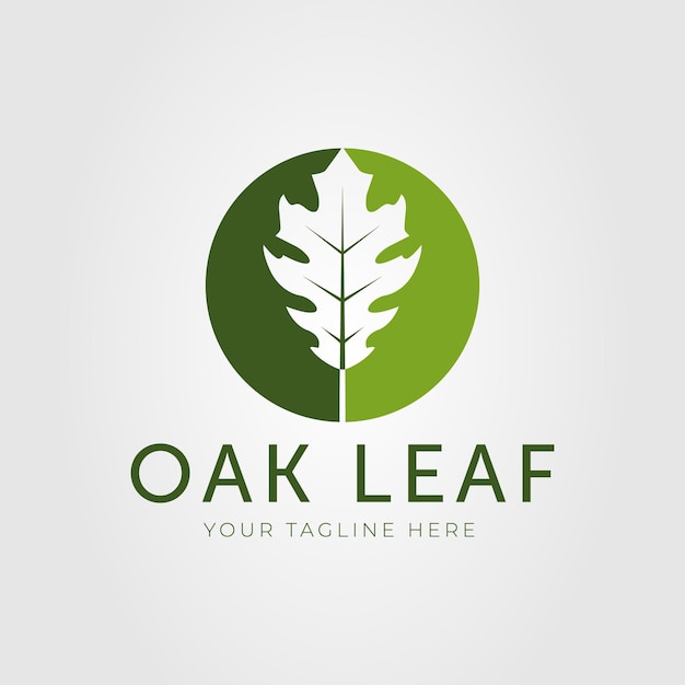 Green oak leaf or natural leaves logo vector illustration design