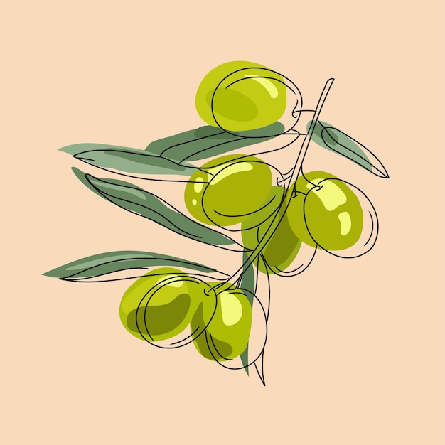 Green olive branch in modern style style on pastel background vector graphicIsolated vector icon